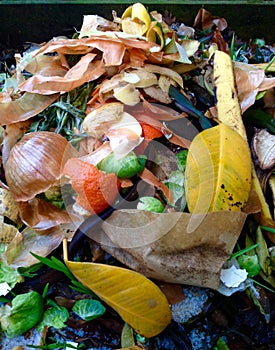 Compost/Biowaste