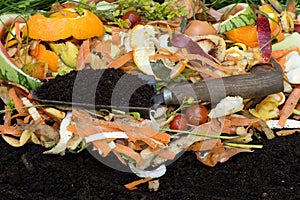 Compost with composted soil photo
