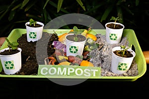 Compost and composted soil recycle on waste paper cups