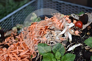 Compost heap