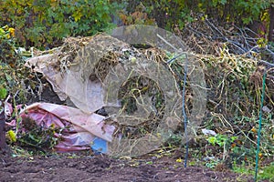 compost heap with garbage in the country and in the garden, a barrel for incineration of garbage