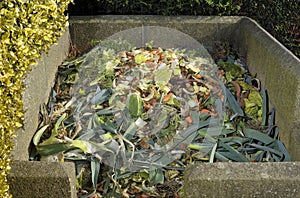 Compost heap