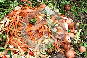 Compost heap photo