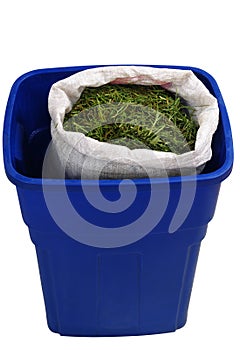 Compost. Isolated photo