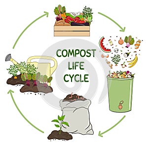 Compost life circle infographic. Composting process. Schema of recycling organic waste from collecting kitchen scraps to use