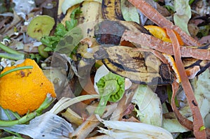 Compost, mixed vegetables and fruits