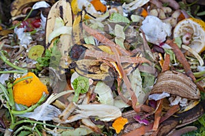 Compost, mixed vegetables and fruits