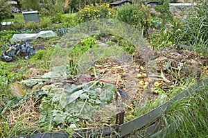 Compost Pile