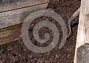 Compost pile