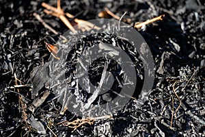 Compost pile, organic thermophilic compost turning in Tasmania Australia