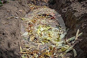 A compost pit or trench is dug in the garden. There are many different food waste in the compost pit. Selective focus