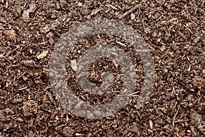 Compost, soil or dirt background