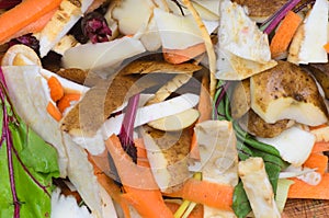 Compost vegetables peelings