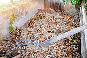 Composting of cut grass and fallen leaves to enrich soil. Leaf mulch. Organic fertilizer