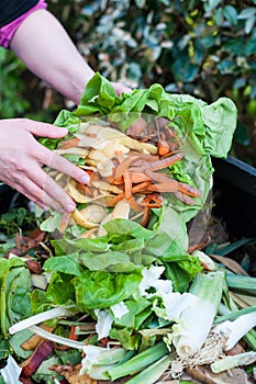 Composting photo