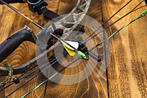 Compound hunting bow