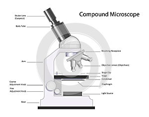 Compound Microscope