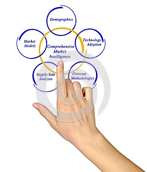 Comprehensive Market Intelligence