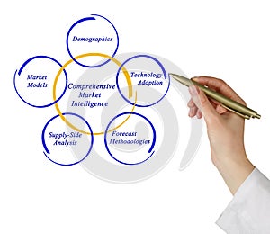 Comprehensive Market Intelligence