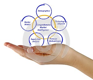 Comprehensive Market Intelligence