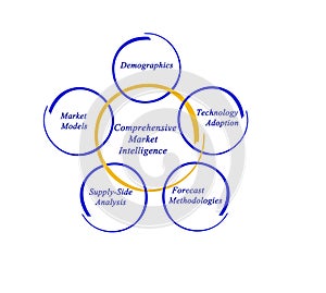Comprehensive Market Intelligence