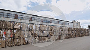 Compressed cardboard on the territory plant of the recycling in bales, perspective view