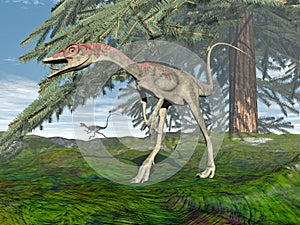 Compsognathus dinosaur - 3D render