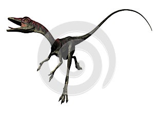 Compsognathus dinosaur - 3d render