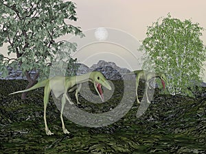 Compsognathus dinosaur mum and baby- 3D render