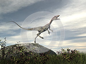 Compsognathus dinosaur standing on a rock - 3D render