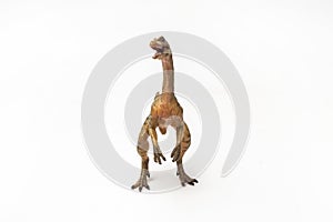 Compsognathus Dinosaur on white background