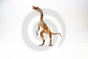 Compsognathus Dinosaur on white background