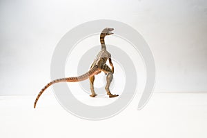 Compsognathus Dinosaur on white background