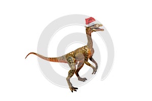 Compsognathus Dinosaur on white background