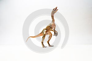 Compsognathus Dinosaur on white background