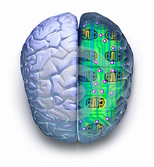 Computer Brain Circuit Technology