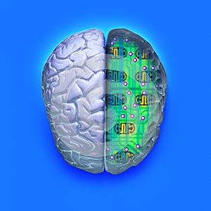 Computer Brain Circuit Technology