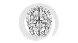 Digital computer brain with circuitry texture in B