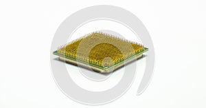 Computer CPU processor closeup, visible gold pins, isolated on white background with clipping path.