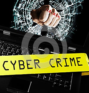 Computer cyber crime