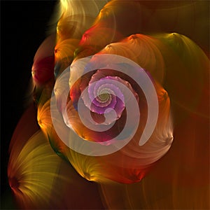 Computer ditigal fractal art, abstract fractals, delicate orange cotton wool flower photo