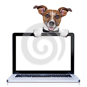 Computer dog