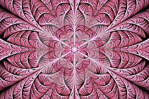 Computer generated abstract illustration Beautiful fractal pink flower wall  pattern, Kaleidoscope design background, Abstract