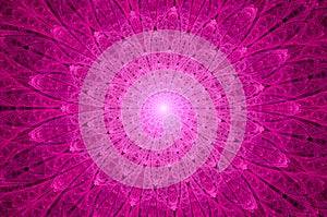 Computer generated abstract illustration Beautiful fractal pink lotus flower wall , Kaleidoscope design background, Abstract