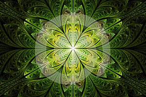 Computer generated abstract illustration Beautiful green petal lotus flower, Kaleidoscope design background, Abstract Concept