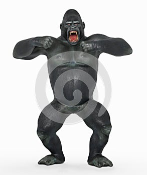 Angry gorilla beating its chest