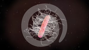3d illustration of a Clostridium Difficile Bacteria photo