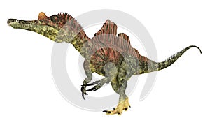 Dinosaur Ichthyovenator isolated on white background