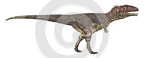 Dinosaur Mapusaurus isolated on white background