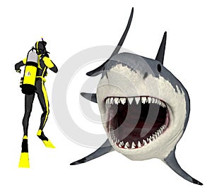 Diver and great white shark